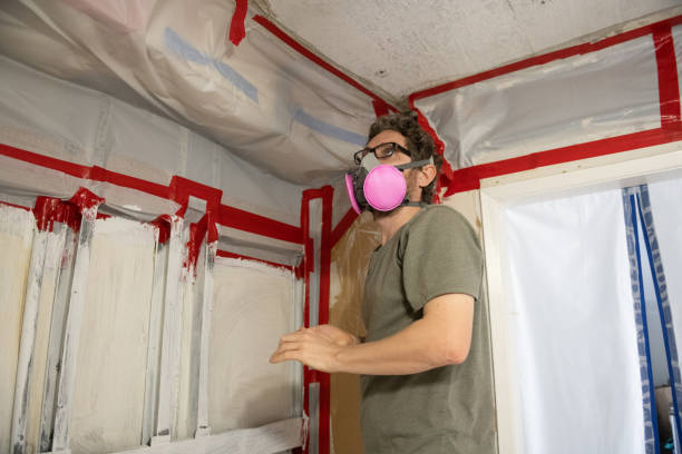 Best Airborne Mold Testing  in Romeovle, IL