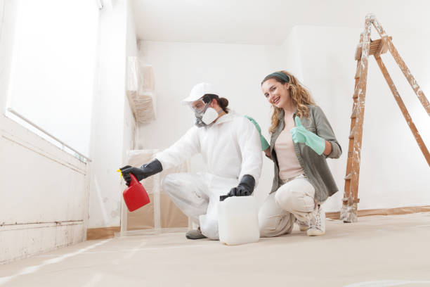 Biohazard Mold Removal in Romeoville, IL